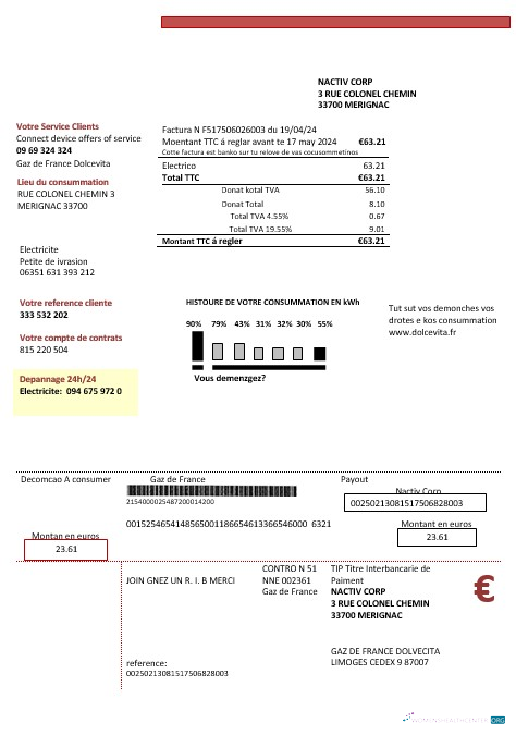 France Gaz de France Dolcevita business utility bill template in Word and PDF formats1